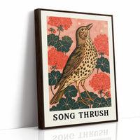 Song Thrush Among Geraniums