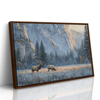 Morning Frost Greets Valley Elk