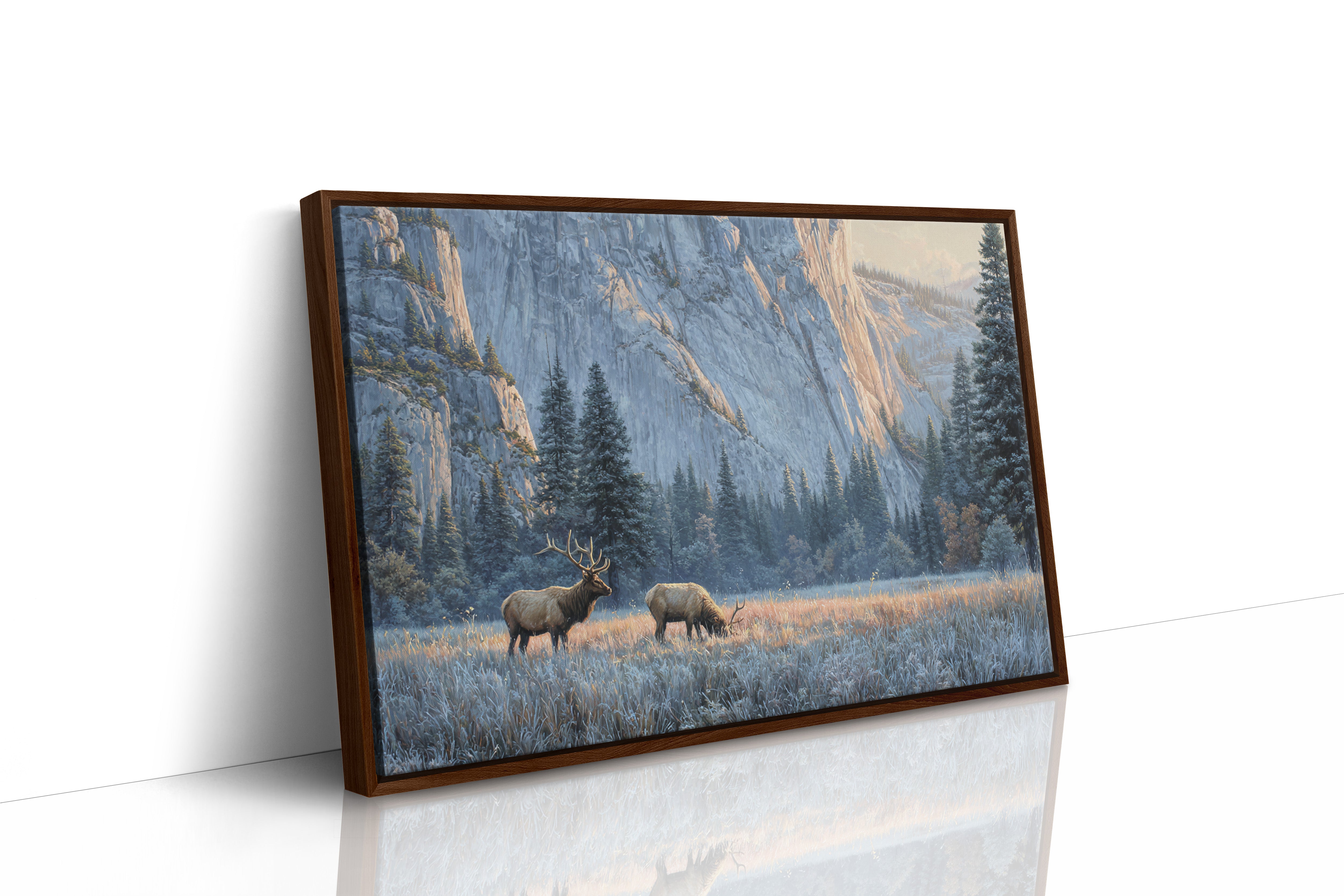 Morning Frost Greets Valley Elk