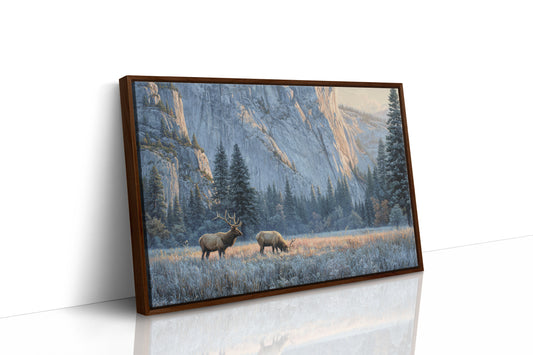 Morning Frost Greets Valley Elk