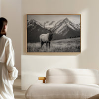 Crown of the Wilderness