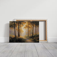 Forest Path Bathed In Light