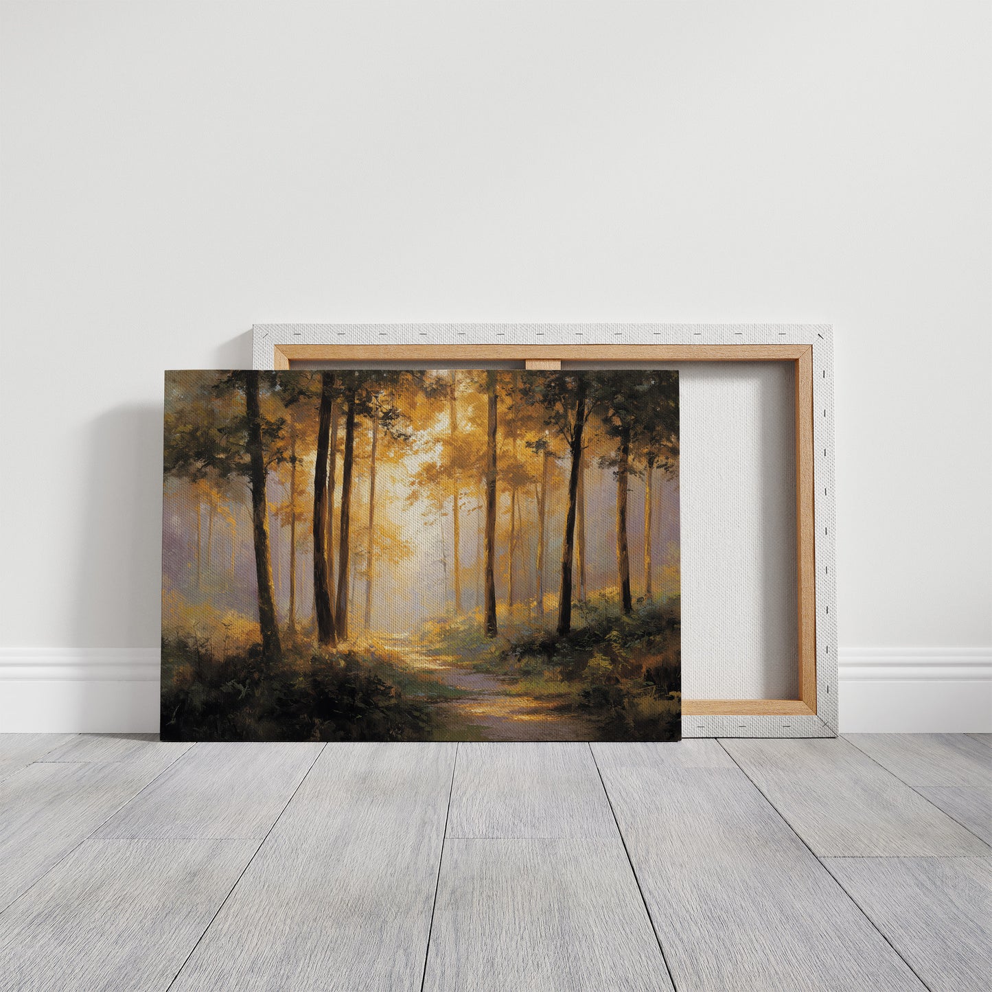 Forest Path Bathed In Light