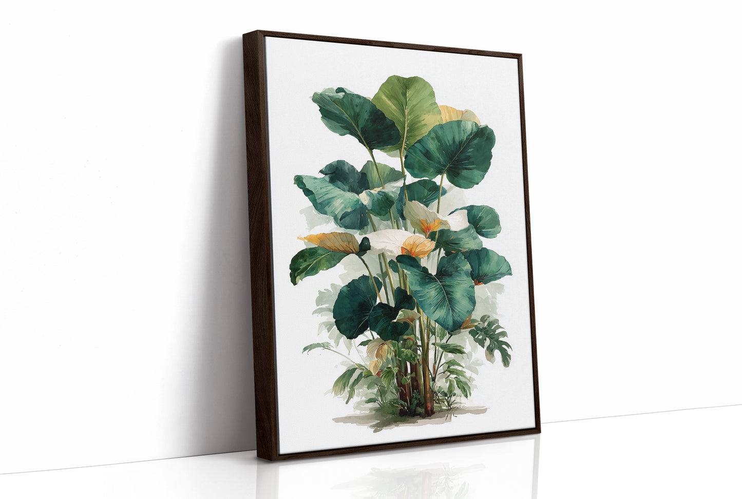 Where Elephant Ears Bloom