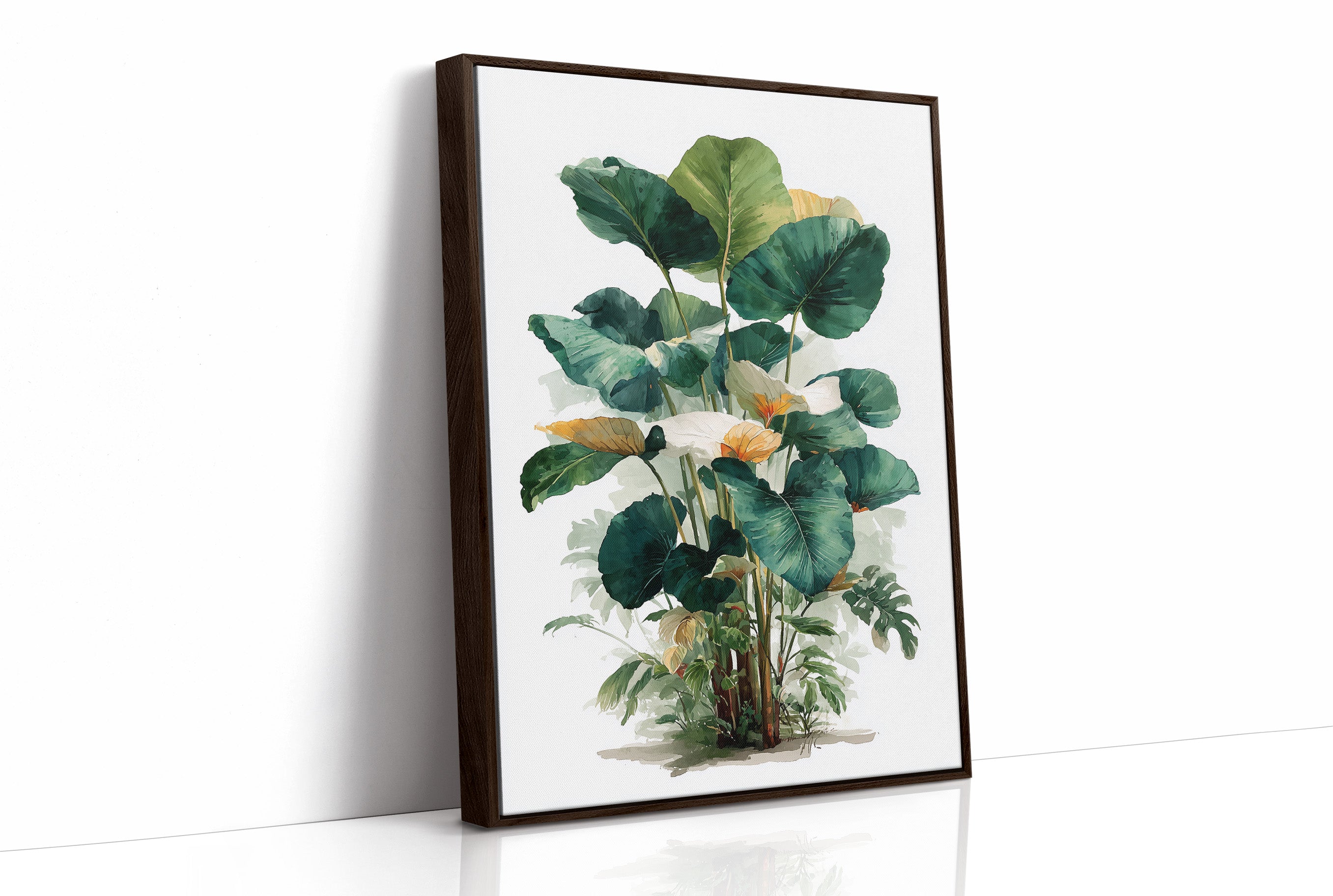 Where Elephant Ears Bloom