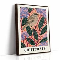 Chiffchaff Among Hydrangeas