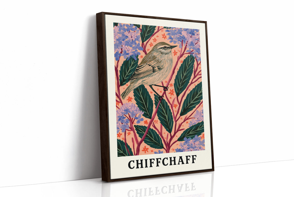 Chiffchaff Among Hydrangeas