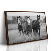 Three Mares Stand Among Prairie Grass
