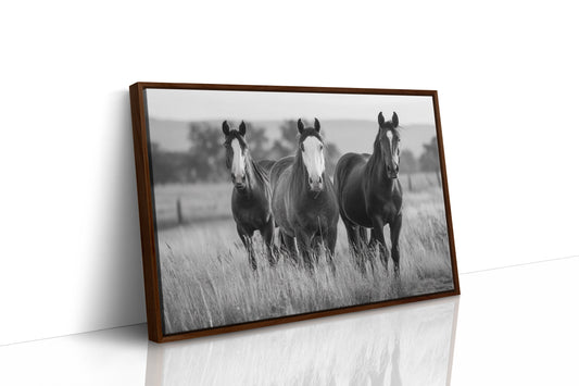 Three Mares Stand Among Prairie Grass