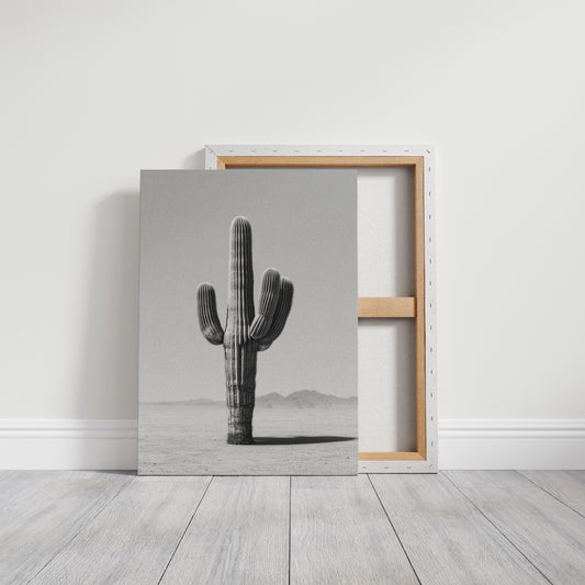 Solitude of the Desert Sentinel