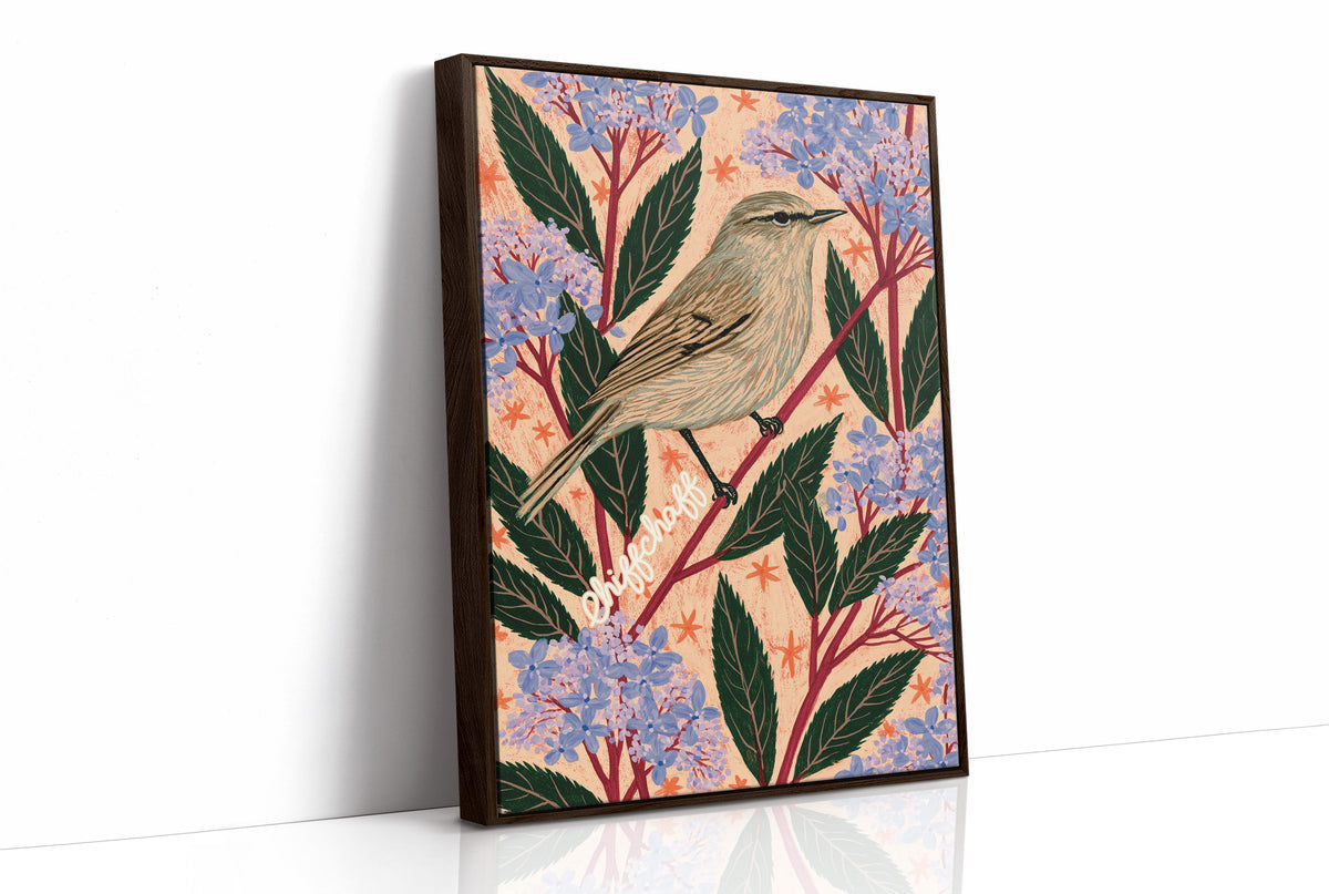 Chiffchaff on a Pink Sprig
