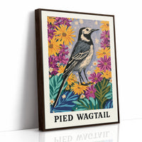 Pied Wagtail in Wildflower Garden