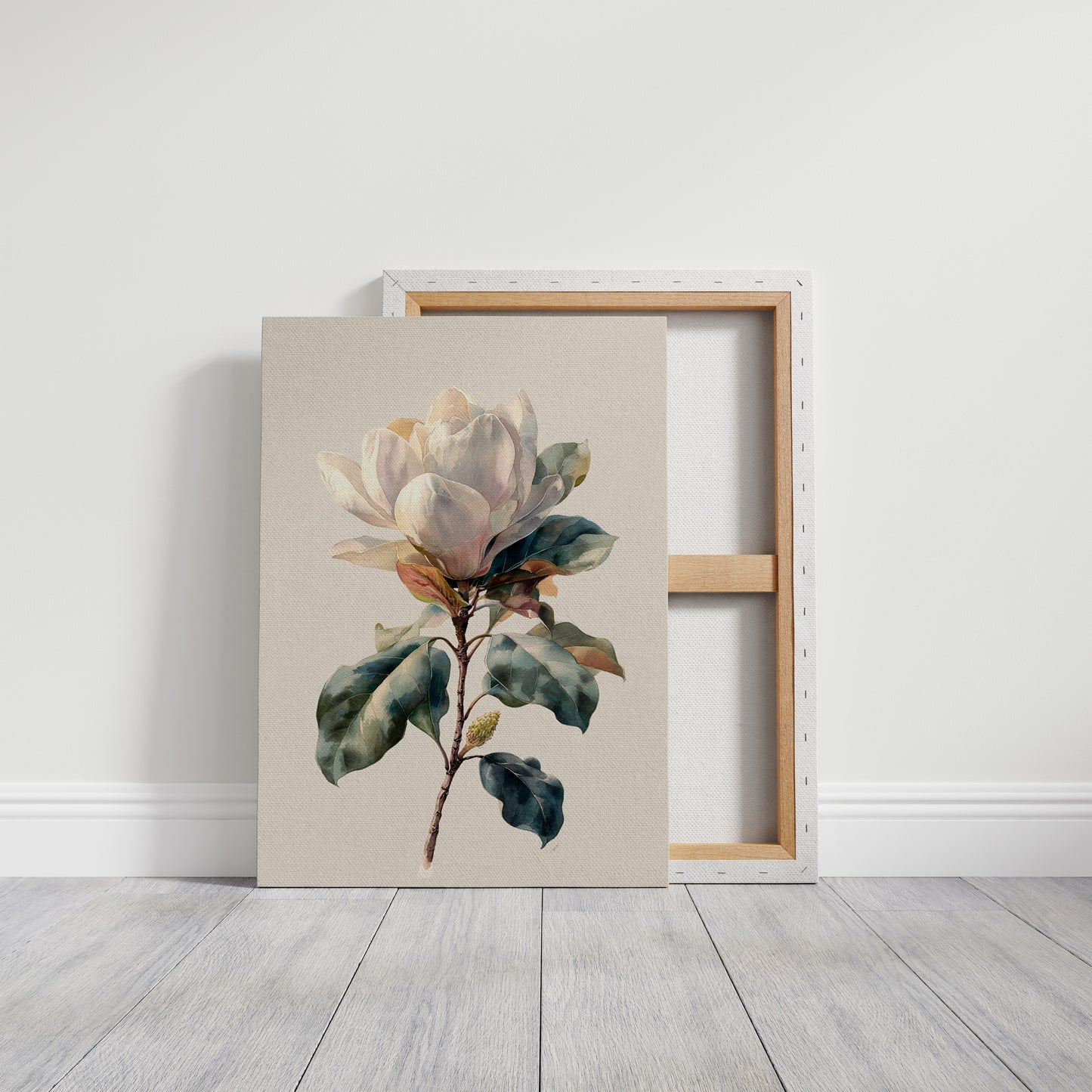 Southern Magnolia In Morning Light