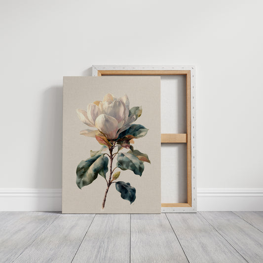 Southern Magnolia In Morning Light