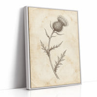 Thistle Study — Vintage Pen and Ink Botanical Print