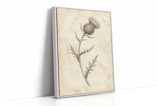 Thistle Study — Vintage Pen and Ink Botanical Print