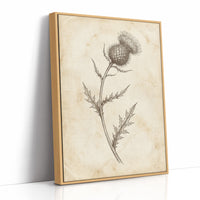 Thistle Study — Vintage Pen and Ink Botanical Print