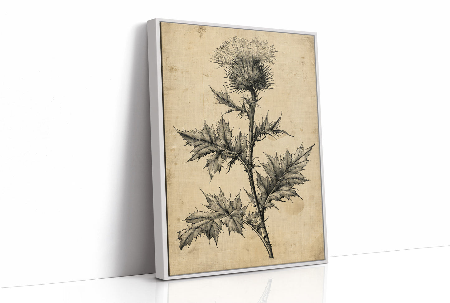Thistle Study — Heavy Crosshatch Botanical Engraving