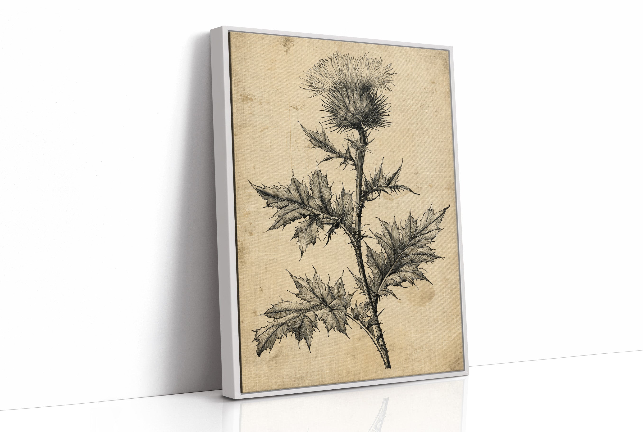 Thistle Study — Heavy Crosshatch Botanical Engraving