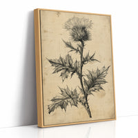 Thistle Study — Heavy Crosshatch Botanical Engraving