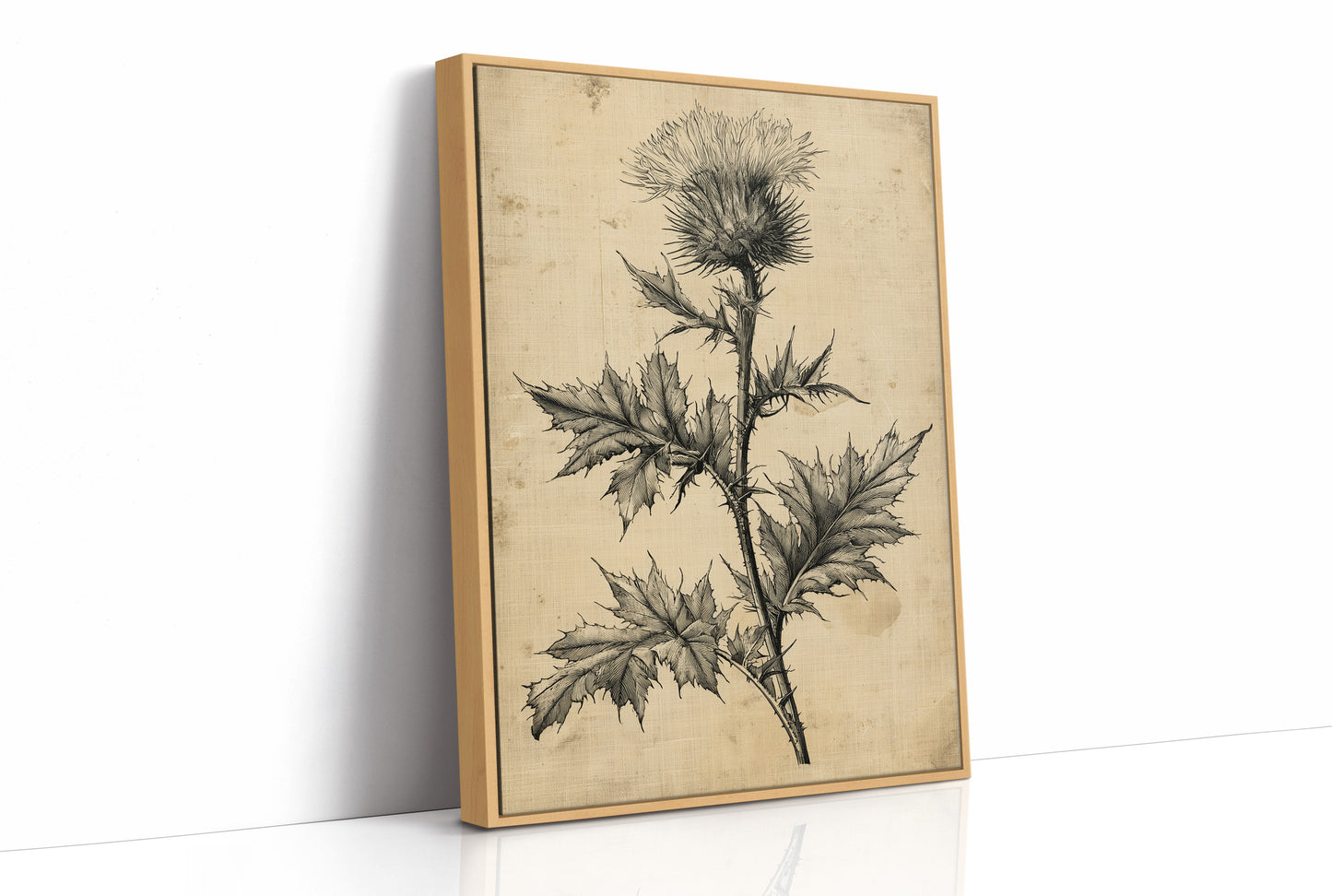 Thistle Study — Heavy Crosshatch Botanical Engraving