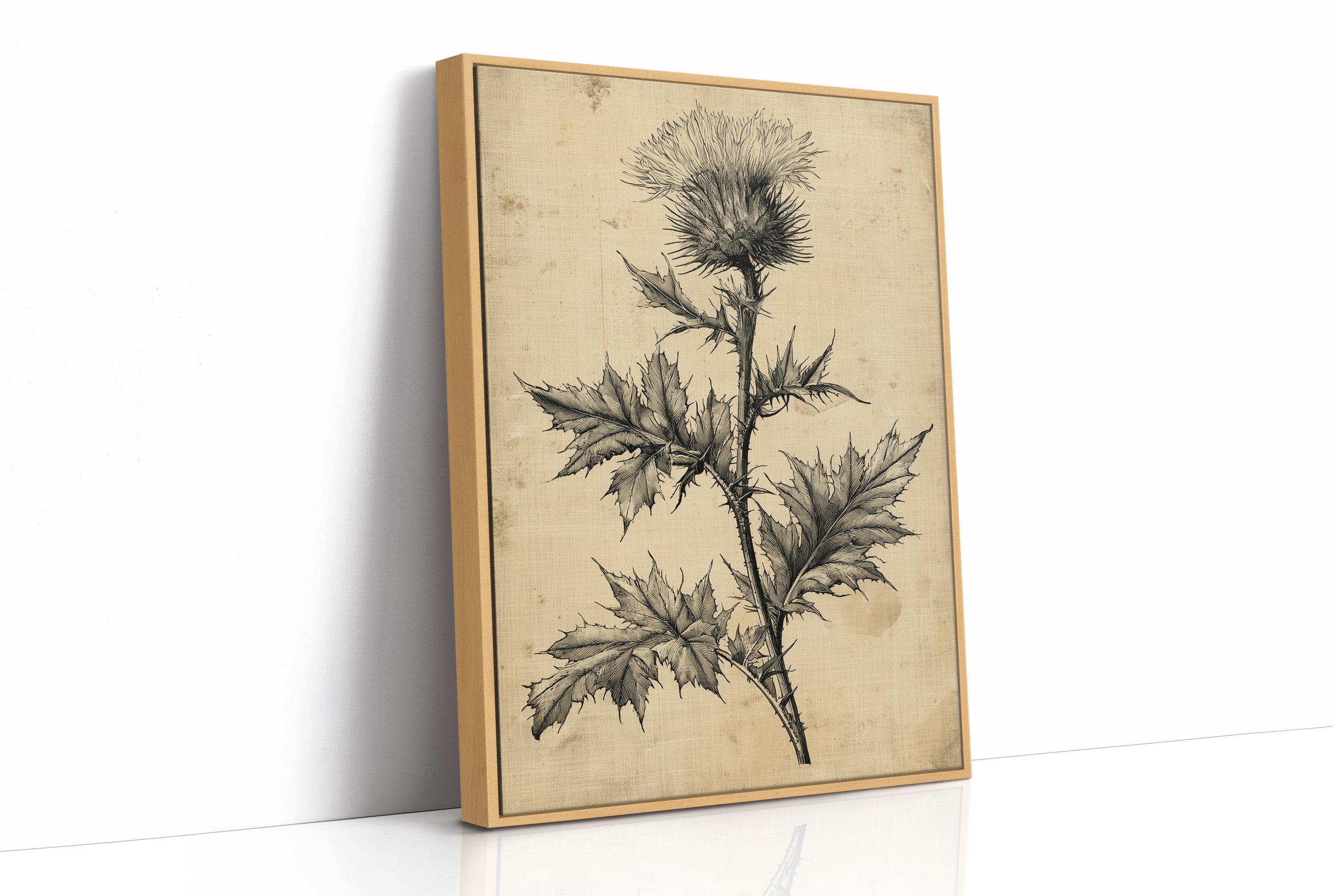 Thistle Study — Heavy Crosshatch Botanical Engraving