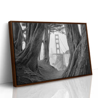 Ancient Trees Frame City Dreams