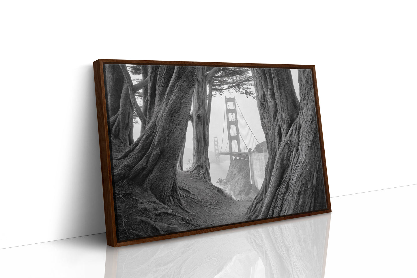 Ancient Trees Frame City Dreams