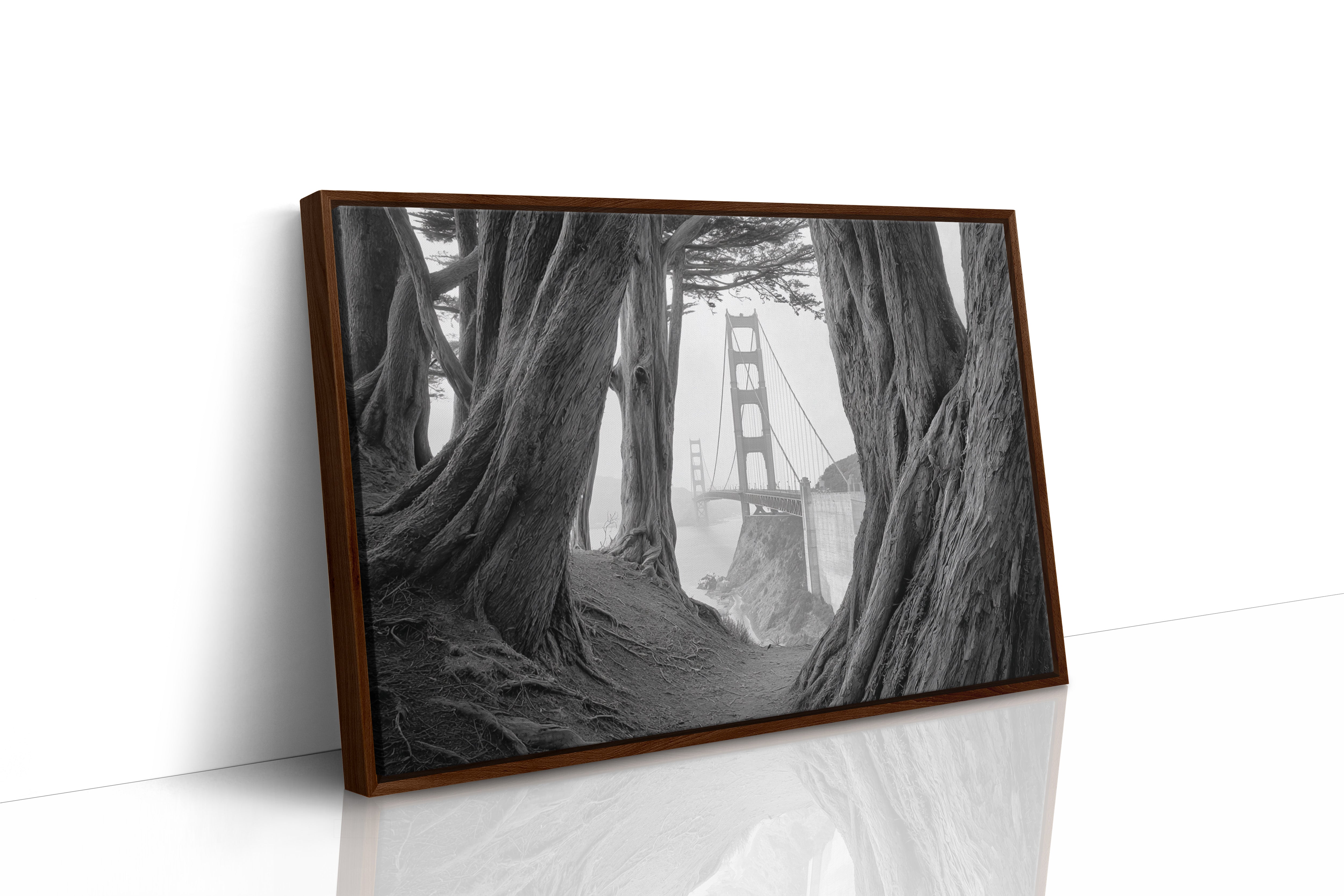 Ancient Trees Frame City Dreams