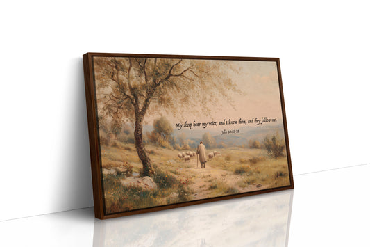 Shepherd's Path In Golden Light