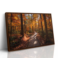 Autumn Path Weaves Golden Stories