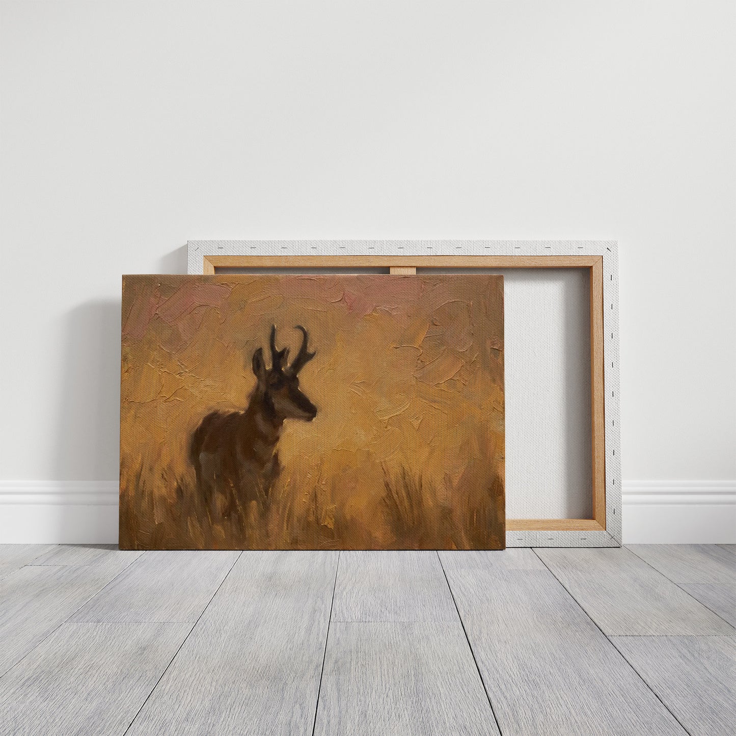 Pronghorn in Golden Grass