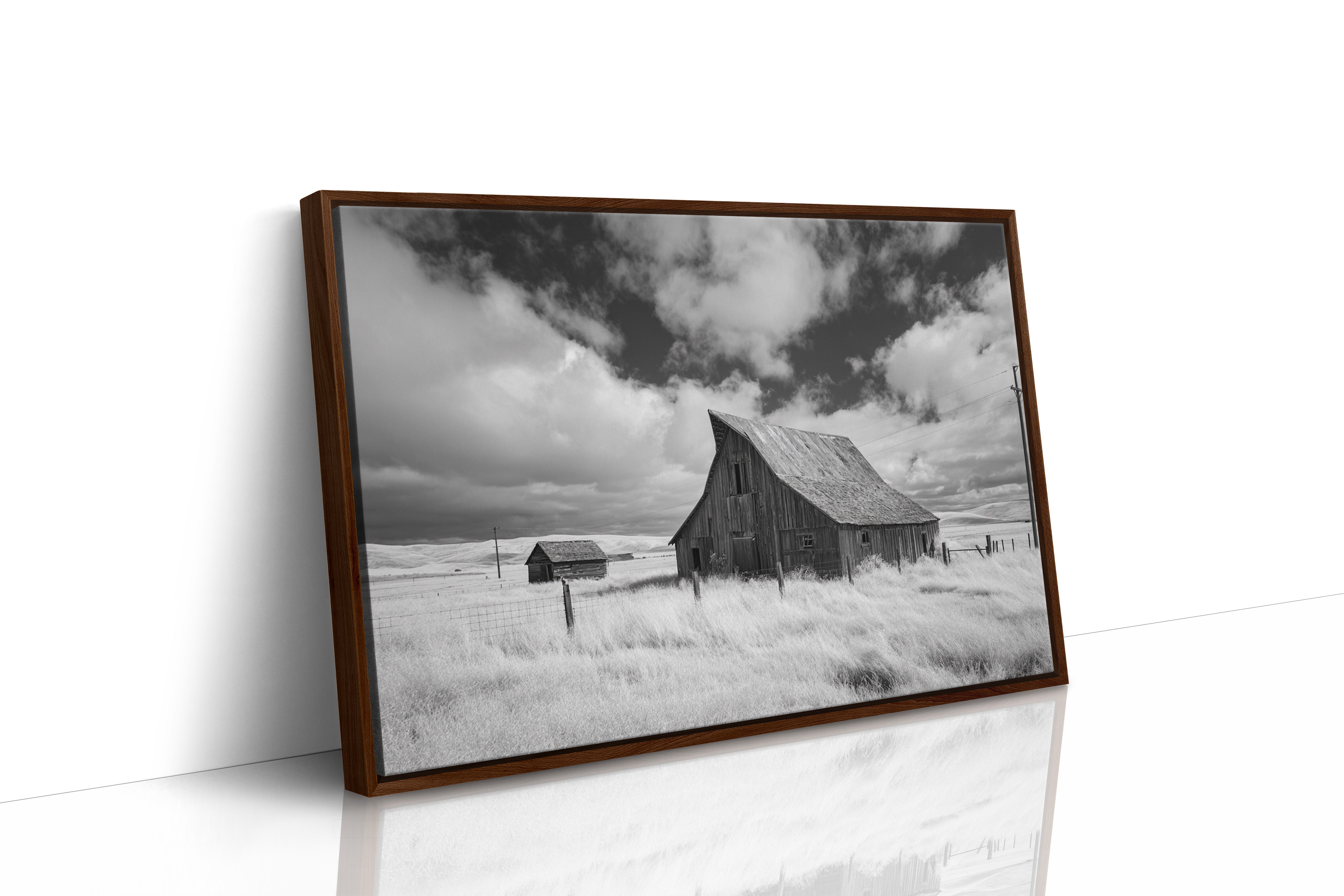 Prairie Winds Stir Memory's Fields