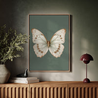 A Dance of Delicate Wings