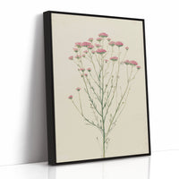 Meadow Gathered Lightly