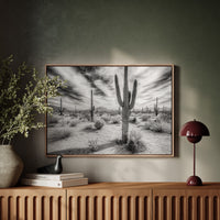 Saguaro Silence in Black and White