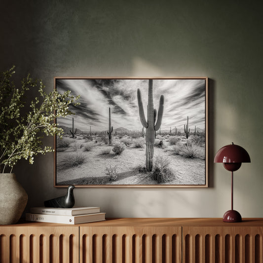 Saguaro Silence in Black and White