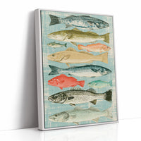Catch of the Day: A Vintage Fish Chart