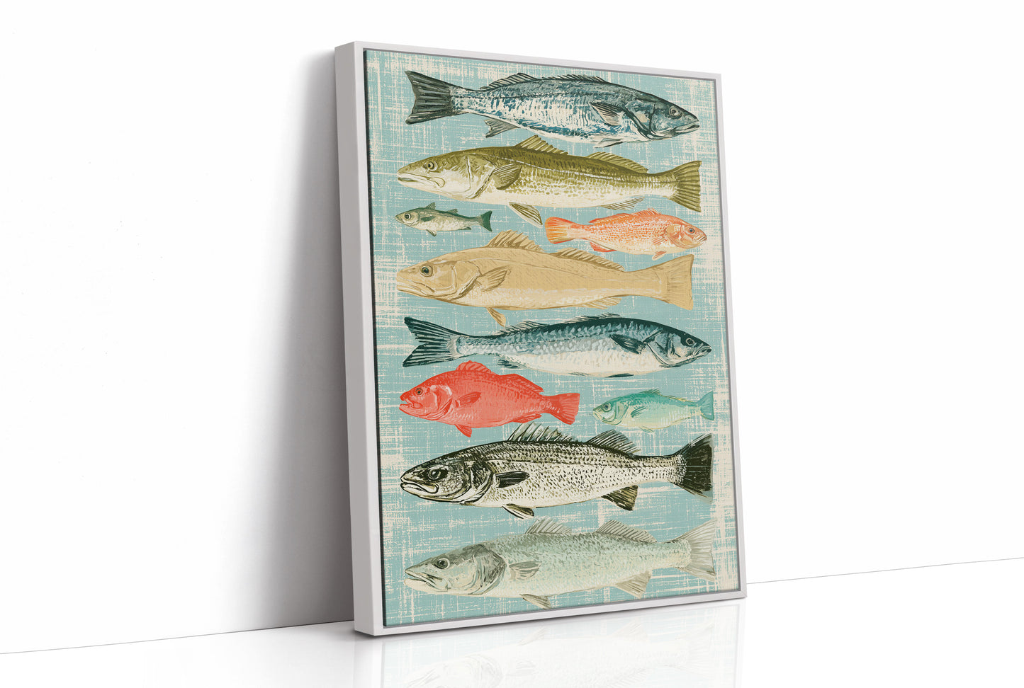 Catch of the Day: A Vintage Fish Chart
