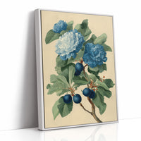 Blue Blooms and the Last of the Plums