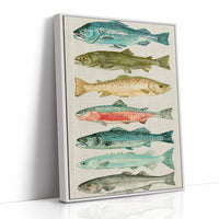 River Run: A Trout and Salmon Chart