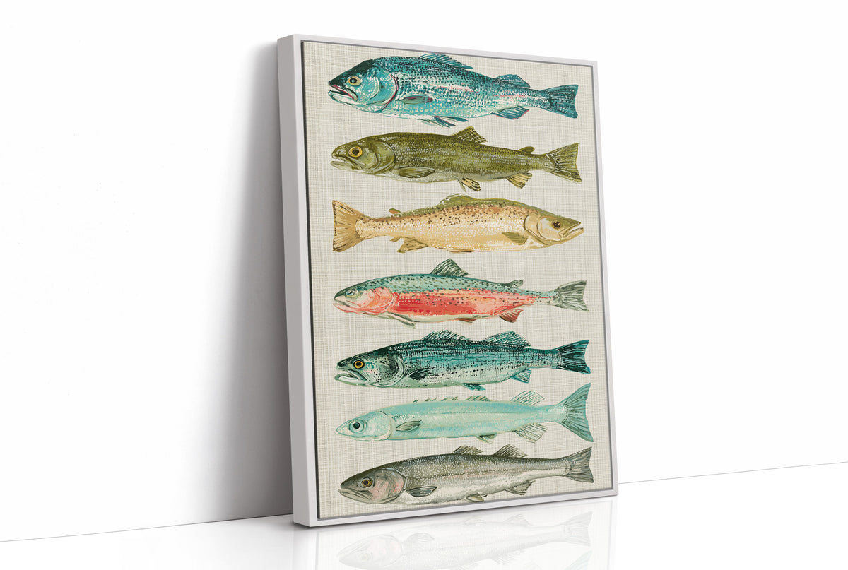 River Run: A Trout and Salmon Chart