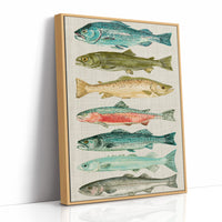 River Run: A Trout and Salmon Chart
