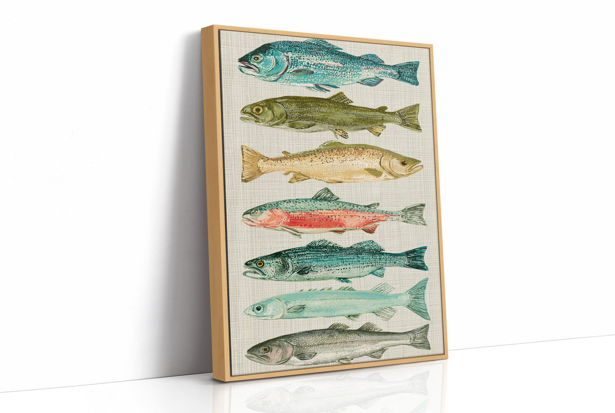 River Run: A Trout and Salmon Chart