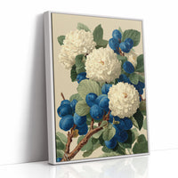 Cream Blossoms Among the Blue Plums