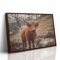 Highland Morning Mist And Stone