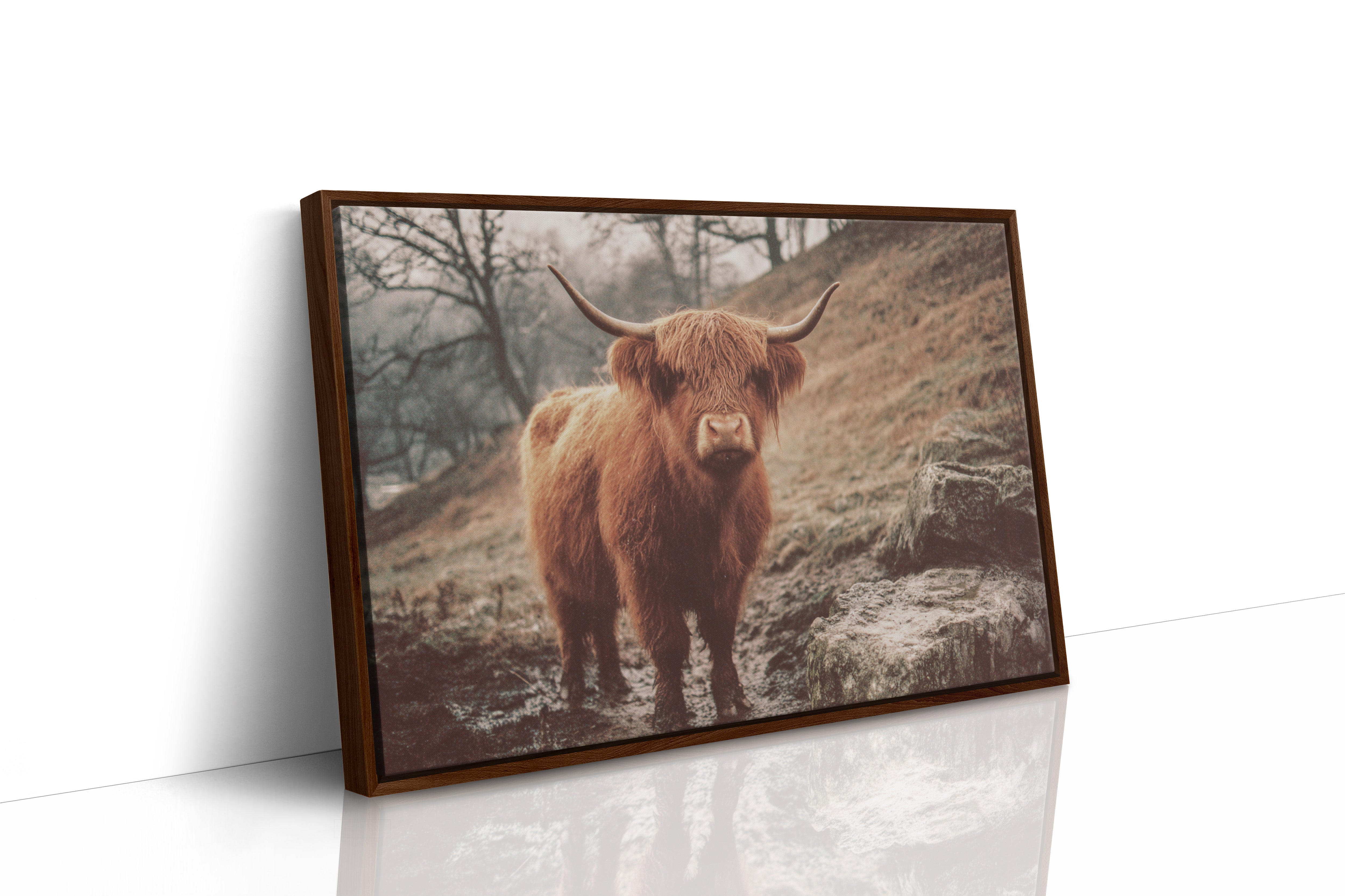 Highland Morning Mist And Stone