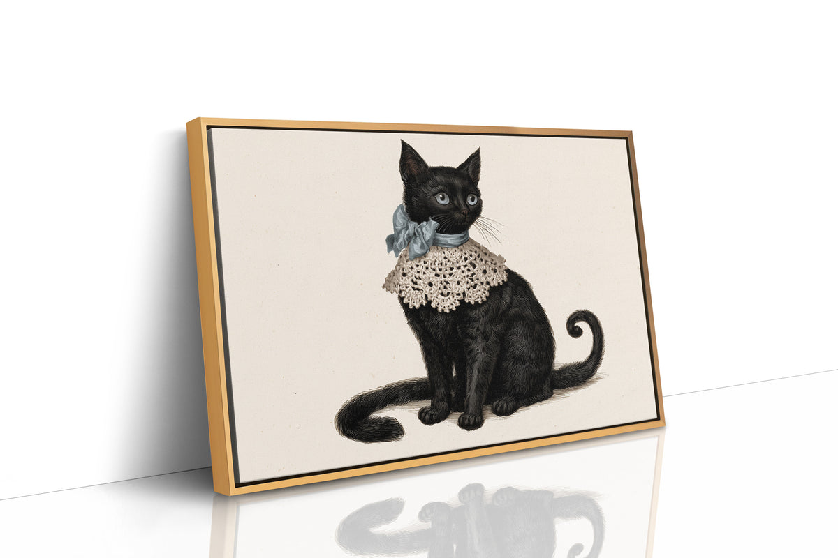 Sunday Best, Extra Tail Included