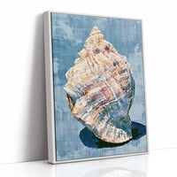 Weathered Conch, Woven Blue
