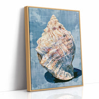 Weathered Conch, Woven Blue